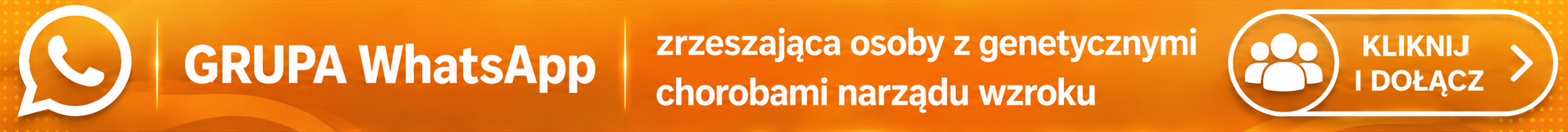 Grupa WhatsApp